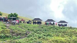 Mountain huts on grassy slope